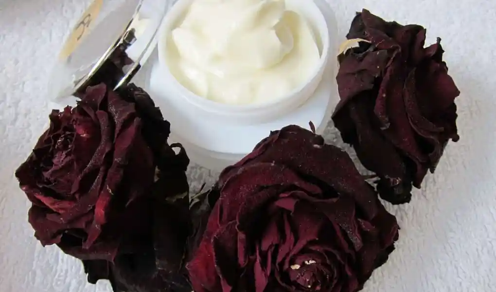 Top seven beauty tips for dry skin