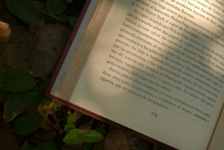 An open book lies on a leafy ground with sunlight illuminating the printed text.